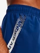 Pantaloncini da uomo Under Armour  Woven Graphic Shorts-BLU