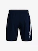 Pantaloncini da uomo Under Armour  Woven Graphic Shorts-NVY