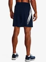 Pantaloncini da uomo Under Armour  Woven Graphic Shorts-NVY