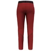 Pantaloni da donna Salewa  Pedroc 2 DST M Light Pants