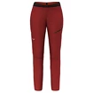 Pantaloni da donna Salewa  Pedroc 2 DST M Light Pants