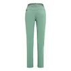 Pantaloni da donna Salewa  Pedroc 3 DST Feldspar green