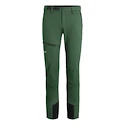 Pantaloni da uomo Salewa  Agner Orval 2 DST Raw Green XL