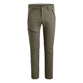 Pantaloni da uomo Salewa FANES CO/DST M PNT