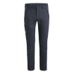 Pantaloni da uomo Salewa  FANES CO/DST M PNT 2X