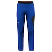 Pantaloni da uomo Salewa  Pedroc 2 DST M Light Pants Electric L