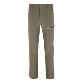 Pantaloni da uomo Salewa TERMINAL DST M PNT