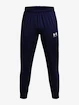 Pantaloni da uomo Under Armour  M's Ch. Train Pant-BLU