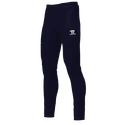 Pantaloni da uomo Warrior Alpha X Performance Pant XL, Blu