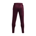 Pantaloni tuta da uomo Under Armour  Terry Pant Red