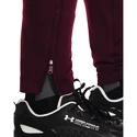 Pantaloni tuta da uomo Under Armour  Terry Pant Red