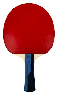 Racchetta da ping pong Butterfly  Boll Sapphire