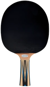 Racchetta da ping pong Donic Schildkröt  Top Team 700