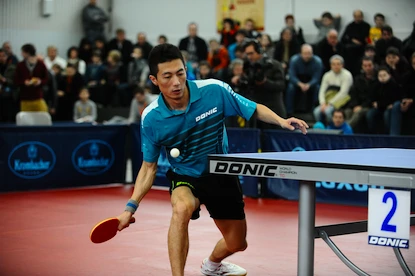 Racchetta da ping pong Donic Schildkröt  Top Team 800