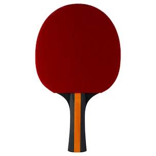 Racchetta da ping pong Stiga  Vision