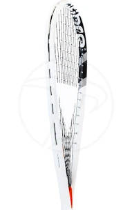 Racchetta da squash Tecnifibre  Dynergy AP 130