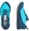 Scarpe da donna Haglöfs  L.I.M FH GTX Low Blue