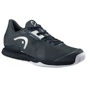 Scarpe da tennis da uomo Head Sprint Pro 3.5 Clay MEN DGBL