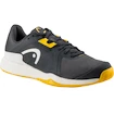 Scarpe da tennis da uomo Head Sprint Team 3.5 Clay Men DGBN