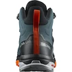 Scarpe da uomo Salomon  MID GTX Stargazer/Black/S