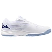 Scarpe indoor da uomo Mizuno  Thunder Blade Z White/Bellwether Blue