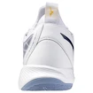 Scarpe indoor da uomo Mizuno  Wave DIMENSION White/Bellwether Blue