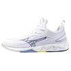 Scarpe indoor da uomo Mizuno  Wave LUMINOUS 3 White/Bellwether Blue