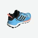 Scarpe outdoor da donna adidas  Terrex Skychaser 2 GTX W Blue