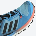 Scarpe outdoor da donna adidas  Terrex Skychaser 2 GTX W Blue