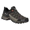 Scarpe outdoor da donna Salewa  WS MTN Trainer Lite GTX