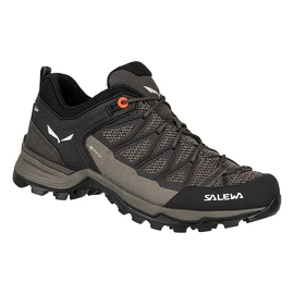 Scarpe outdoor da donna Salewa WS MTN Trainer Lite GTX Wallnut/Fluo Coral