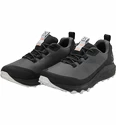 Scarpe outdoor da uomo Haglöfs  L.I.M FH GTX Low Black