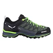 Scarpe outdoor da uomo Salewa  MS MTN Trainer Lite Gtx Myrtle/Ombre Blue