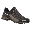 Scarpe outdoor da uomo Salewa  MS MTN Trainer Lite Gtx  Wallnut/Fluo Orange