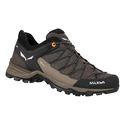 Scarpe outdoor da uomo Salewa  MS MTN Trainer Lite Gtx  Wallnut/Fluo Orange