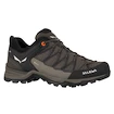 Scarpe outdoor da uomo Salewa  MS MTN Trainer Lite Gtx  Wallnut/Fluo Orange  UK 11