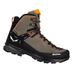 Scarpe outdoor da uomo Salewa  MTN Trainer 2 Mid Gtx Bungee Cord/Black