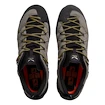 Scarpe outdoor da uomo Salewa  Wildfire 2 Gtx M Bungee Cord/Black