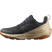 Scarpe outdoor da uomo Salomon Elixir Activ Gore-Tex Phantom/Safari/Caramel Cafe