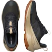 Scarpe outdoor da uomo Salomon Elixir Activ Gore-Tex Phantom/Safari/Caramel Cafe