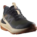 Scarpe outdoor da uomo Salomon Elixir Activ Gore-Tex Phantom/Safari/Caramel Cafe