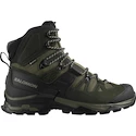 Scarpe outdoor da uomo Salomon Quest 4 Gore-Tex Olive Night/Peat/Safari