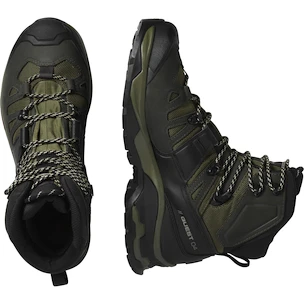 Scarpe outdoor da uomo Salomon Quest 4 Gore-Tex Olive Night/Peat/Safari  UK 8,5