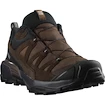 Scarpe outdoor da uomo Salomon X Ultra 360 Leather Gore-Tex Dark Earth/Delicioso/Sharkskin