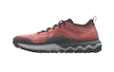 Scarpe running donna Mizuno Wave Ibuki 4 Gtx Lantana/Quiet Shade/Bluebird  UK 7