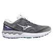 Scarpe running donna Mizuno  Wave Skyrise Wave Skyrise 2 / Blackened Pearl / Silver / Antarctica  UK 7,5