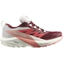 Scarpe running donna Salomon  GTX W Syrah/Vanila/Pea