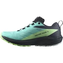 Scarpe running donna Salomon Sense Ride 5 Gtx Blue Radiance / Green Ash / India Ink