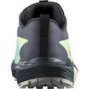 Scarpe running donna Salomon Sense Ride 5 Gtx Blue Radiance / Green Ash / India Ink