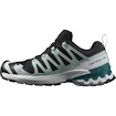 Scarpe running donna Salomon XA Pro 3D V9 Gore-Tex Black/Bleached Aqua/Harbor Blue